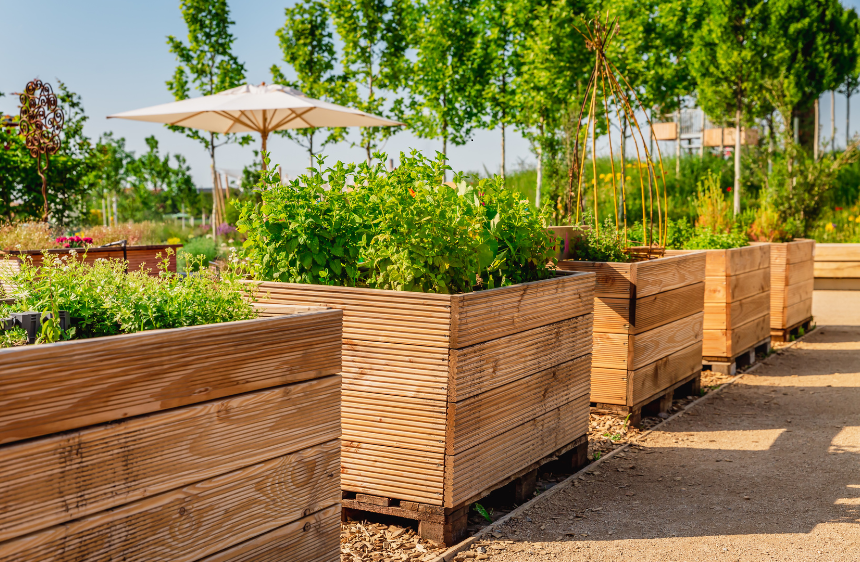 Raised garden beds box