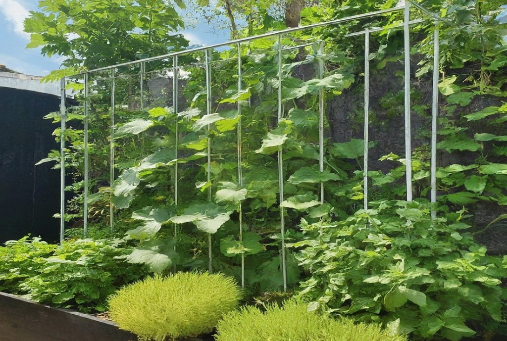 Raised garden bed with trellis diy