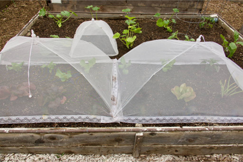 cover raised garden beds